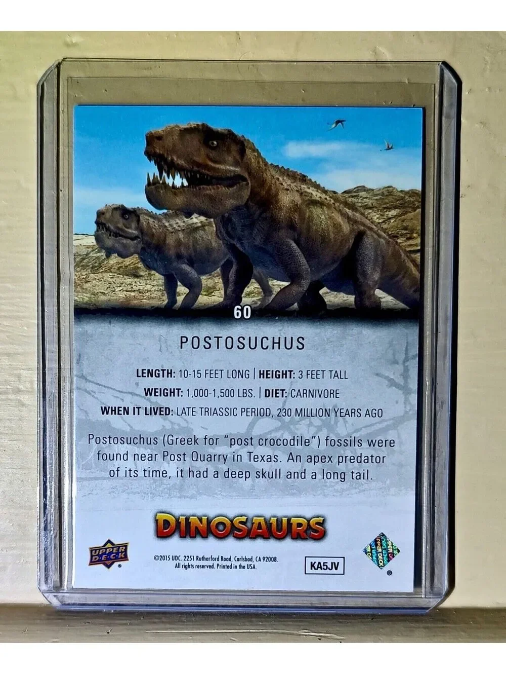 N/A bring prehistoric